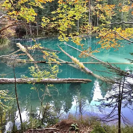 Haus Tilia Karinthie Daire