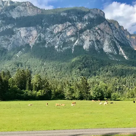 Haus Tilia Karinthie Daire