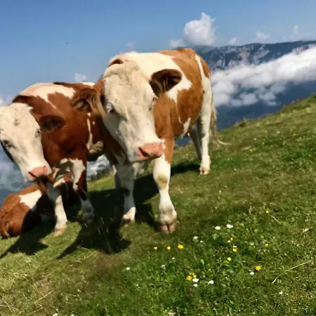 Haus Tilia Karinthie *