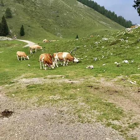 Haus Tilia Karinthië *