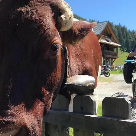 Daire Haus Tilia Karinthie