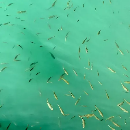 Haus Tilia Karinthie Daire *