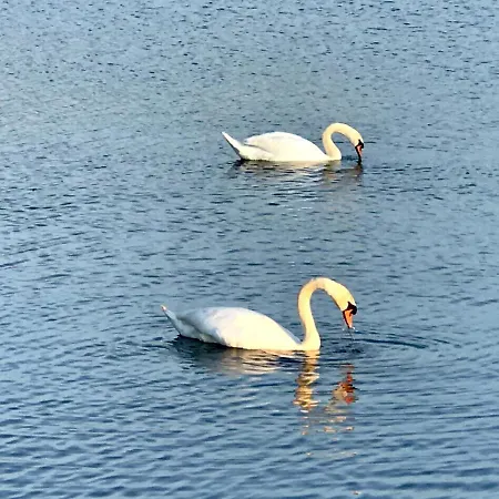 Haus Tilia Karinthie * Nötsch