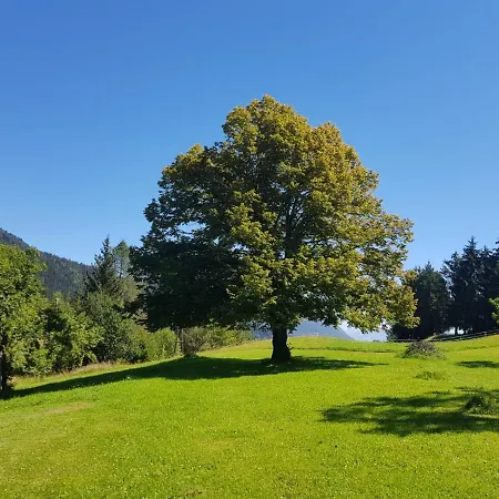 Haus Tilia Karinthie *