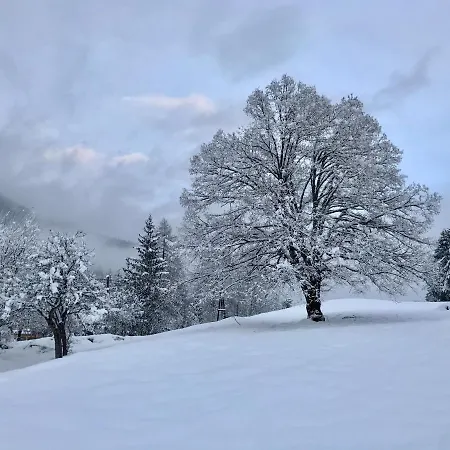 Haus Tilia Karinthie Daire