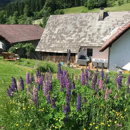 Haus Tilia Karinthie *