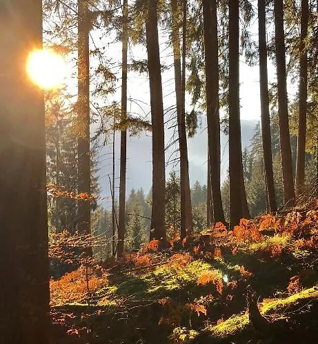 Haus Tilia Karinthie Apartment