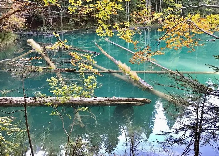 Haus Tilia Karinthie Apartment