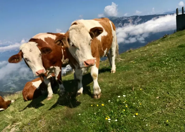 Haus Tilia Karinthie *