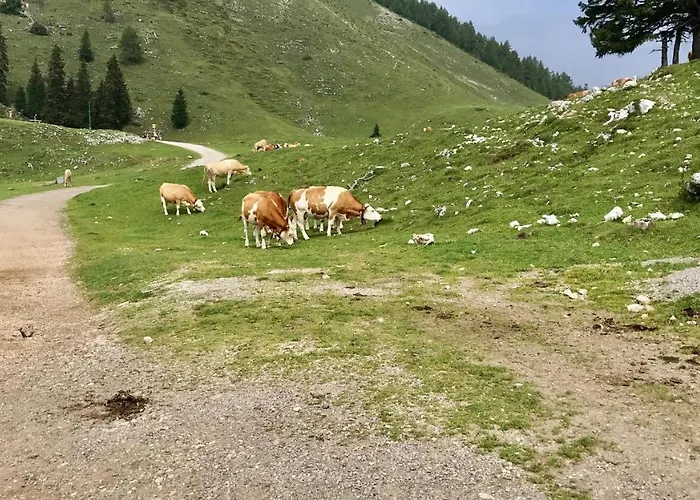 Haus Tilia Karinthie *