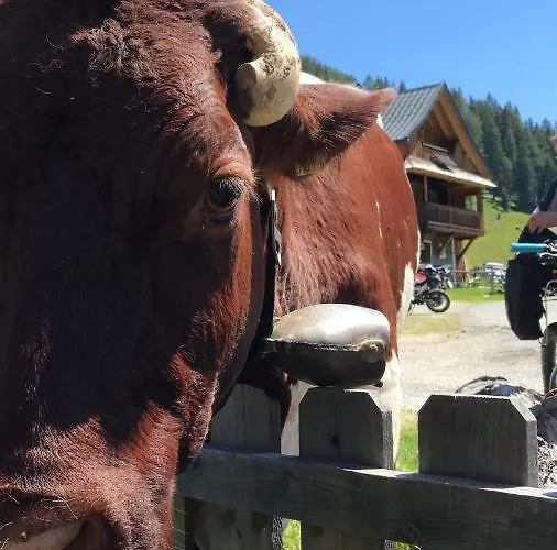 Apartment Haus Tilia Karinthie