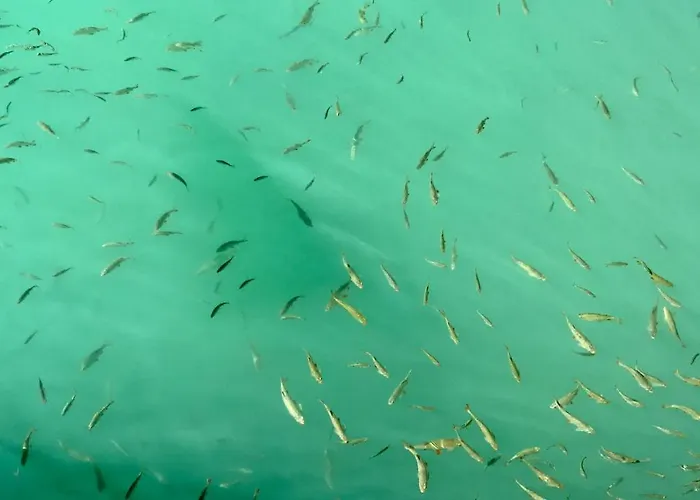 Haus Tilia Karinthie Apartment *