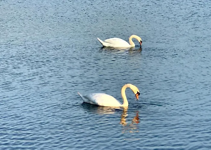 Haus Tilia Karinthie * Noetsch