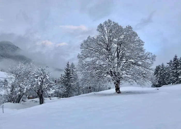 Haus Tilia Karinthie Apartment