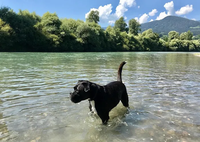 Haus Tilia Karinthie *