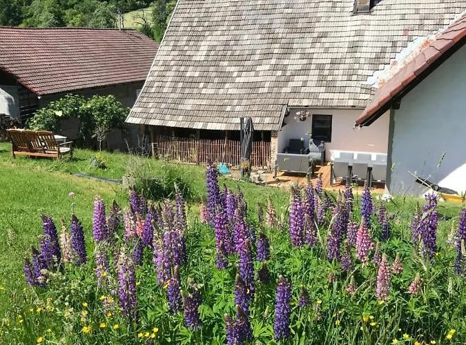 Haus Tilia Karinthie *